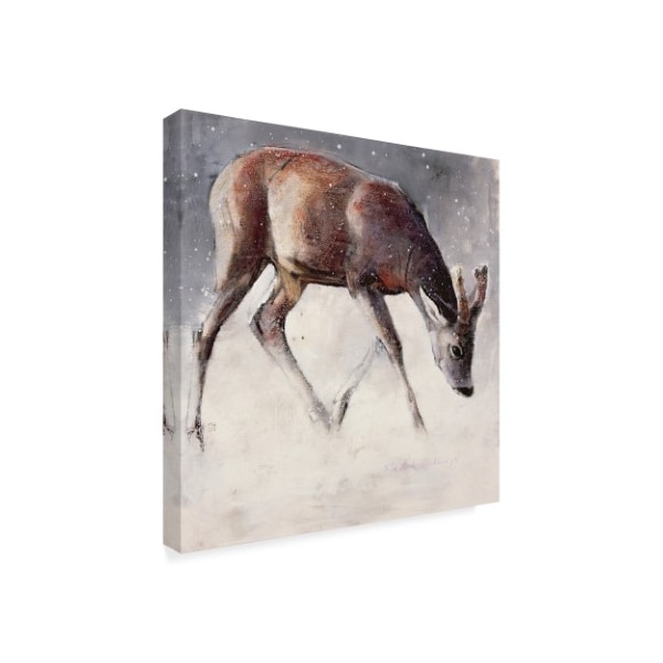 Mark Adlington 'Roe Buck Winter' Canvas Art,24x24